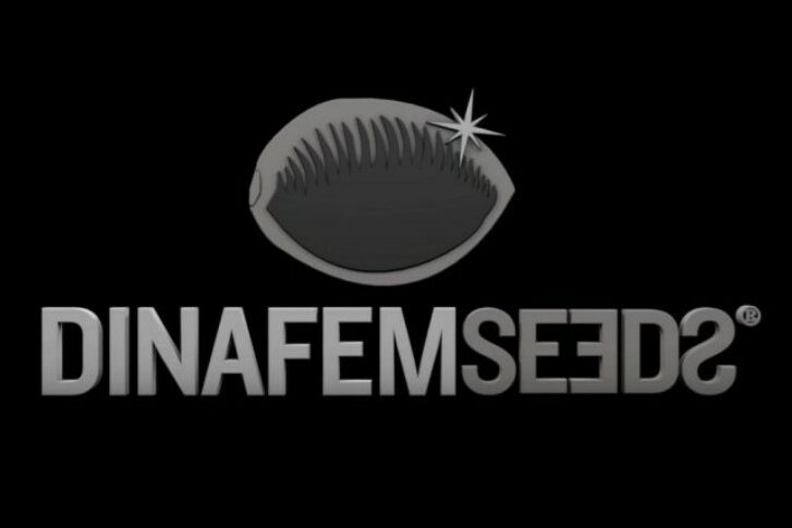 Dinafem - seeds - cannabis