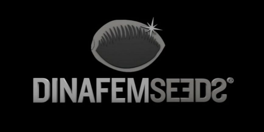 Dinafem - seeds - cannabis