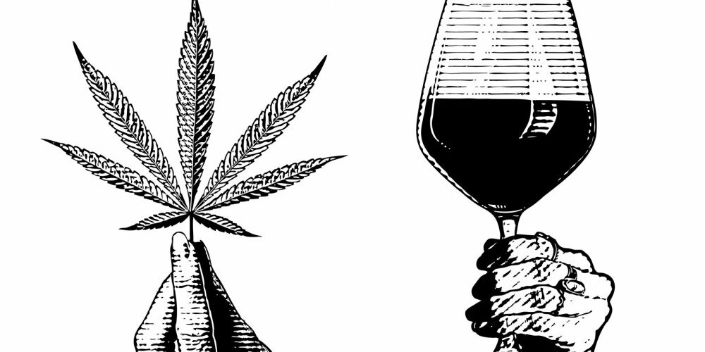 La France passe au CBD : Du grand cru au blunt, une révolution à la française