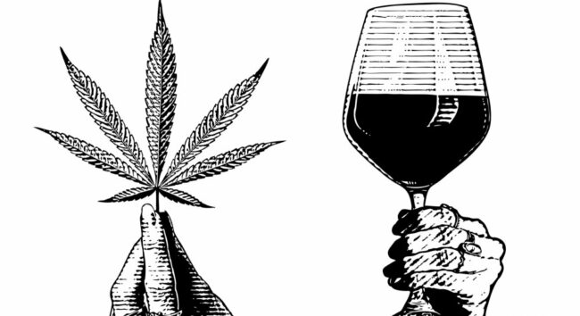 La France passe au CBD : Du grand cru au blunt, une révolution à la française