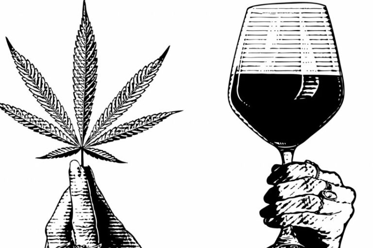 La France passe au CBD : Du grand cru au blunt, une révolution à la française