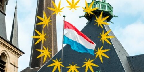 Luxembourg - cannabis -autoculture à domicile