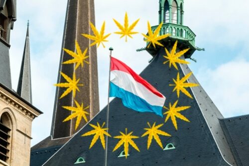 Luxembourg - cannabis -autoculture à domicile