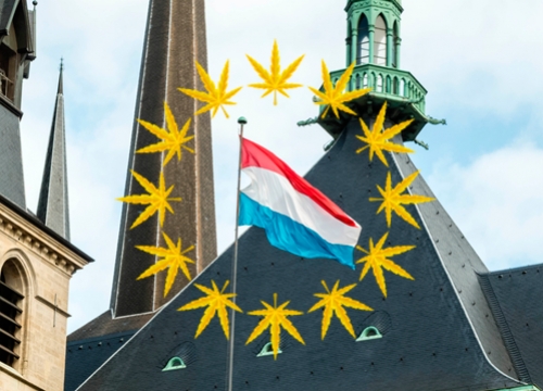 Luxembourg - cannabis -autoculture à domicile