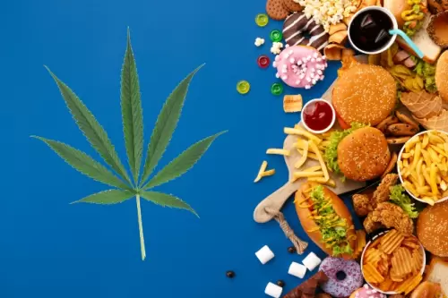 cannabis et équilibre alimentaire