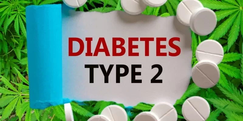 cannabis et diabète de type 2