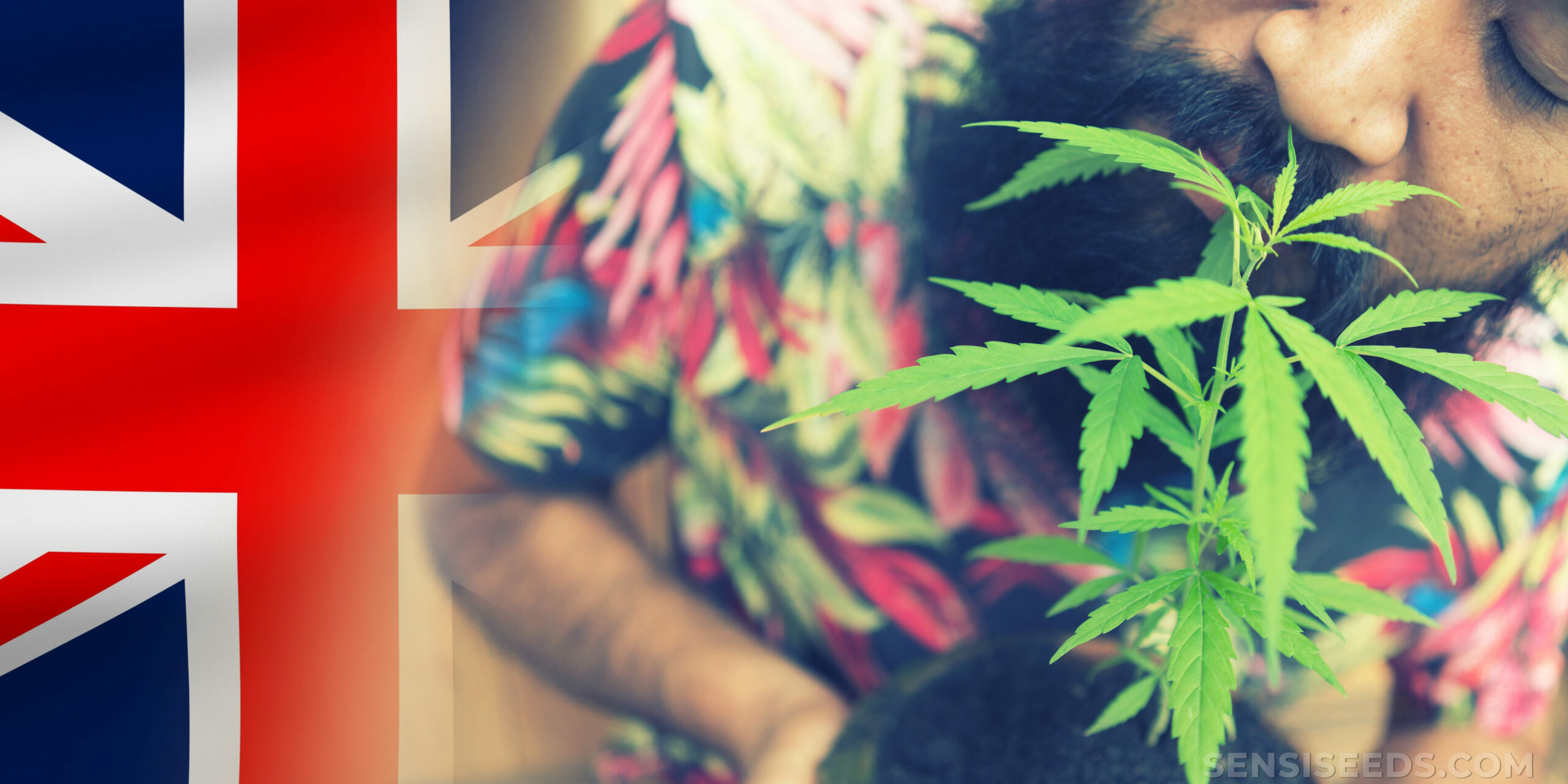 cannabis médical - 5 ans - Royaume Uni