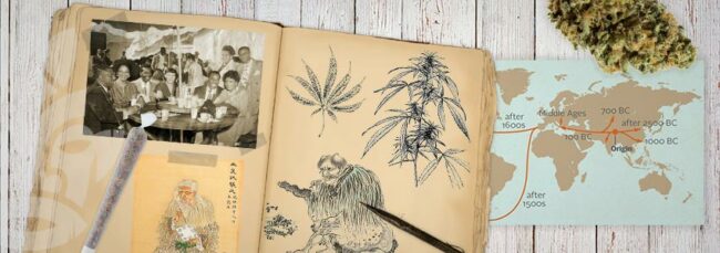 la grande histoire du cannabis
