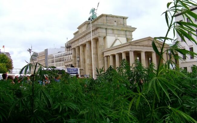 légalisation du cannabis en Allemagne