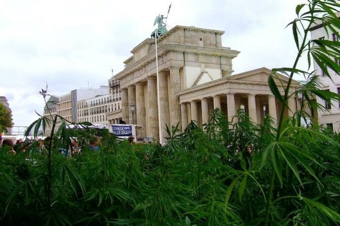 légalisation du cannabis en Allemagne