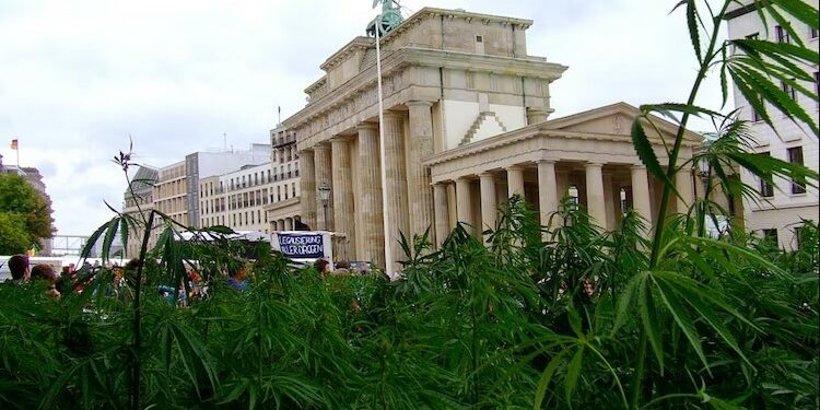 légalisation du cannabis en Allemagne