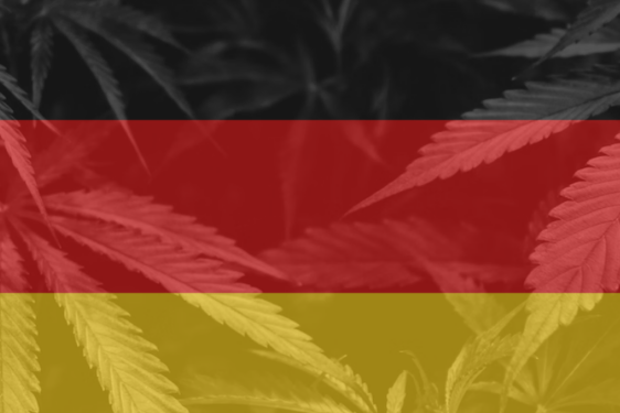 Allemagne - Businessofcannabis - Cannabis - Légalisation