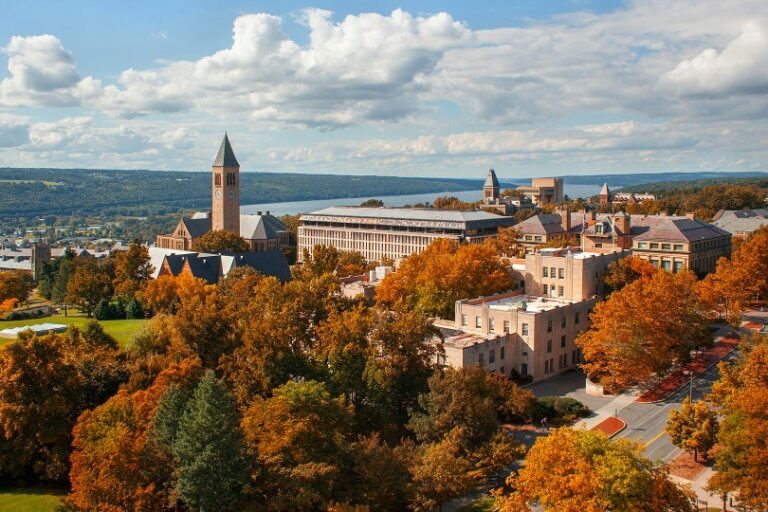 Cannabinoïdes - Chanvre - Université de Cornell