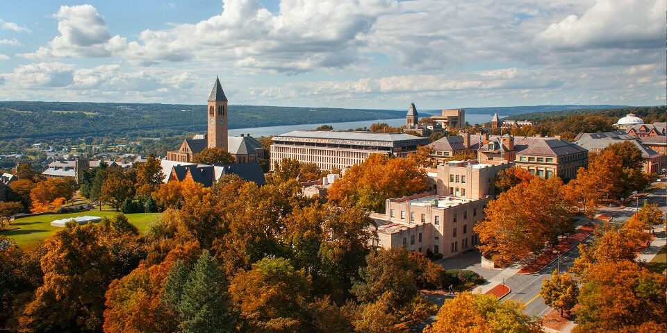 Cannabinoïdes - Chanvre - Université de Cornell