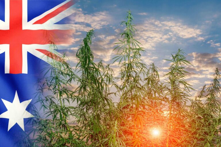 Cannabis - Victoria - Australie