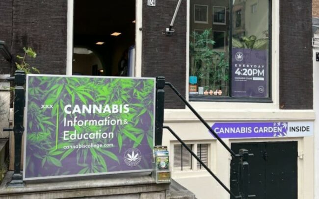 Cannabis college Amsterdam
