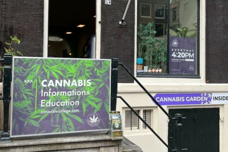 Cannabis college Amsterdam