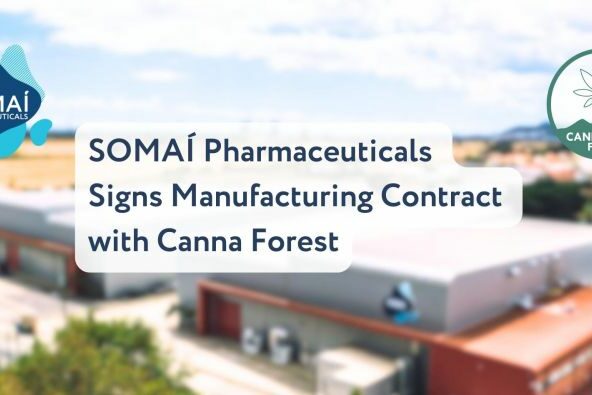 Cannabis médical - Canna Forest - Somai Pharmaceuticals