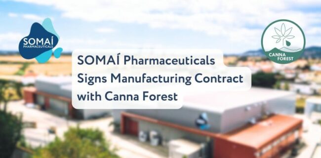 Cannabis médical - Canna Forest - Somai Pharmaceuticals