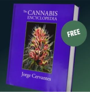 Jorge Cervantes - cannabis enciclopedia - free