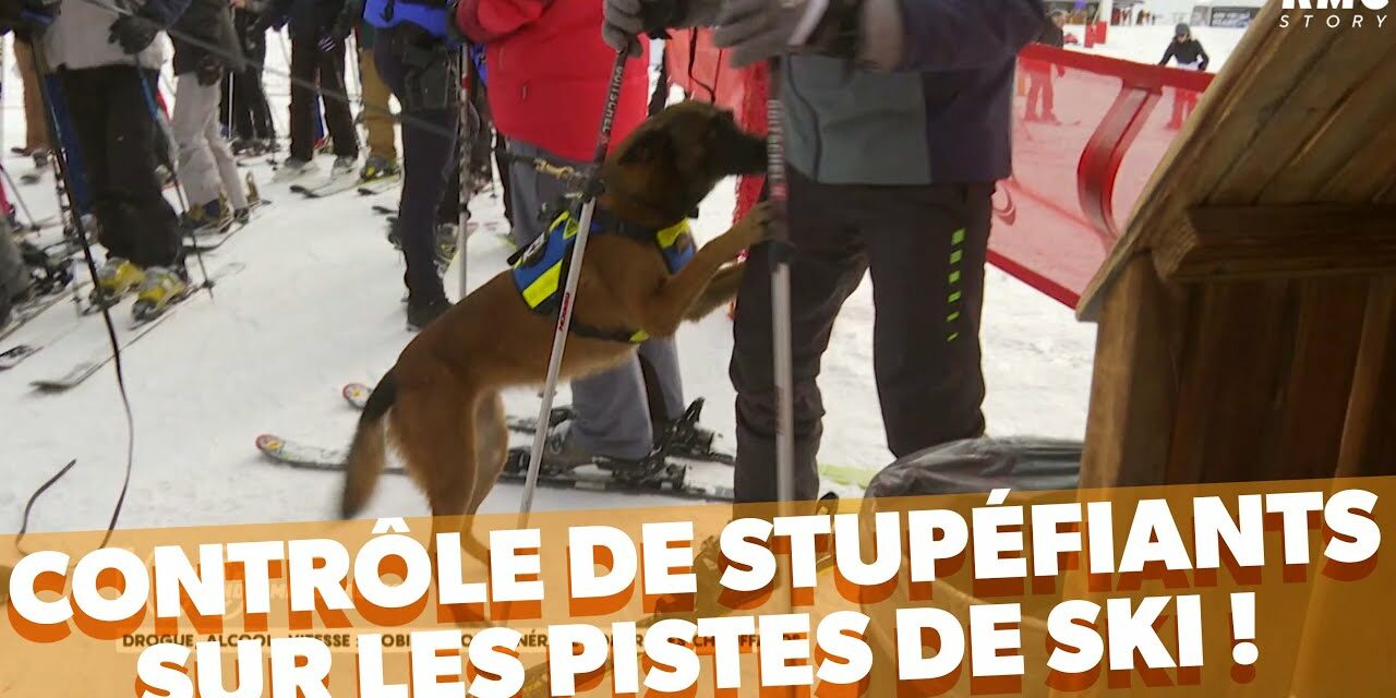 Cannabis - contrôle de stupéfiants sur les pistes de ski