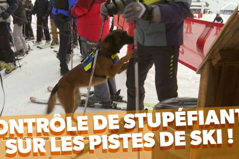 Cannabis - contrôle de stupéfiants sur les pistes de ski