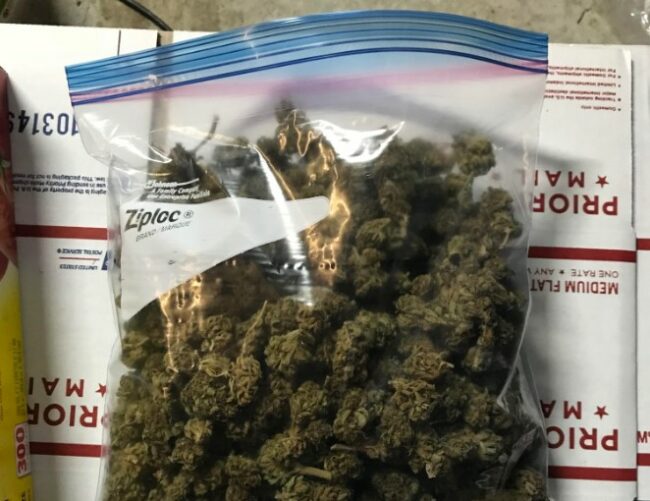 vieux cannabis - bon ou pas bon