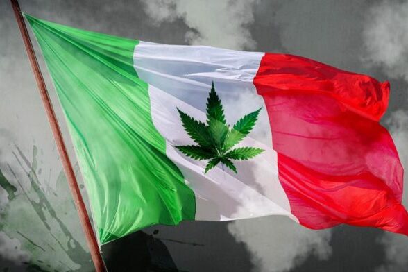 Légalisation - Cannabis - Mexique