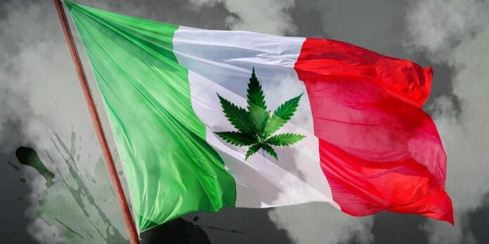 Légalisation - Cannabis - Mexique