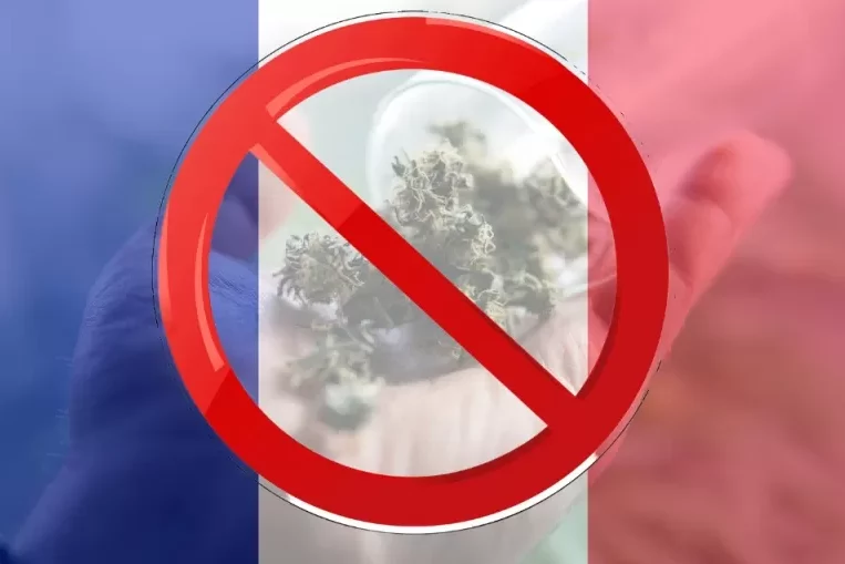 Cannabis médical - France - arrêt des fleurs séchées