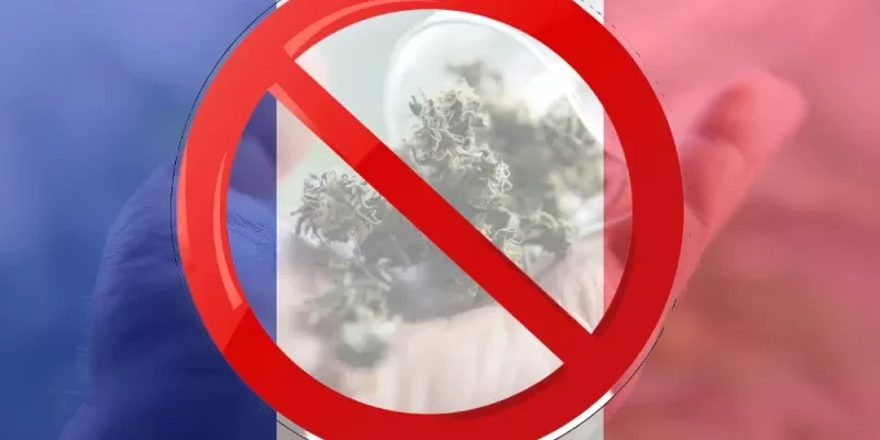 Cannabis médical - France - arrêt des fleurs séchées
