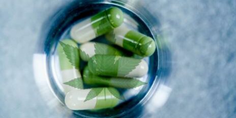 Cannabis médical – article quotidien du pharmacien