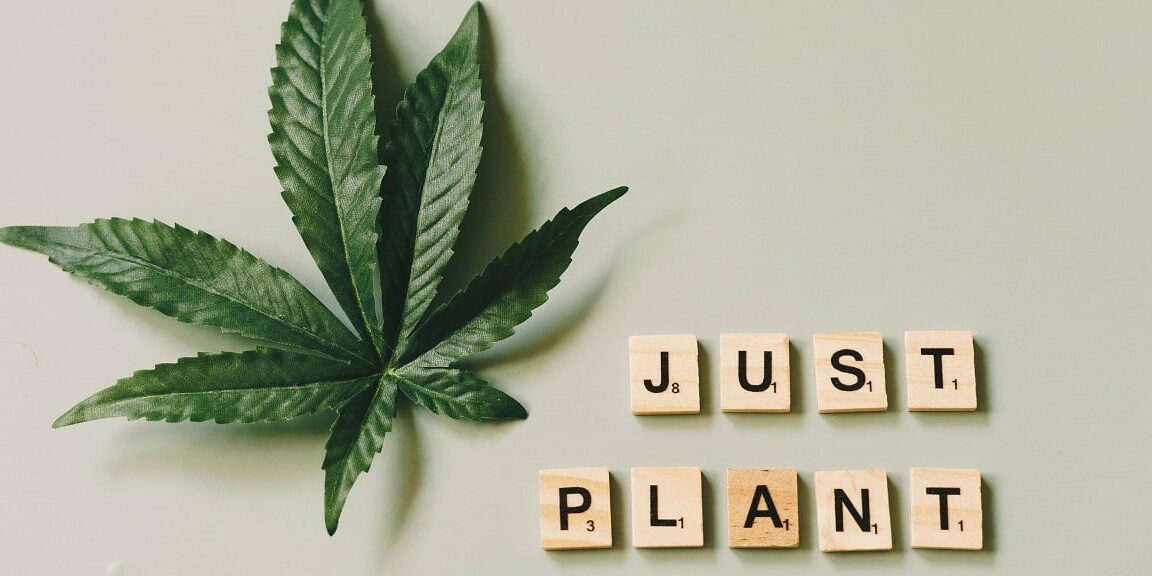 Cannabis - Mythes et Réalités - non acceptation - science