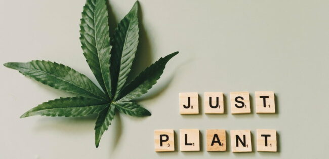 Cannabis - Mythes et Réalités - non acceptation - science