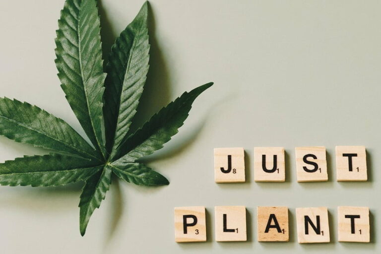 Cannabis - Mythes et Réalités - non acceptation - science