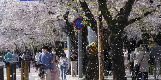 Hausse de la consommation de drogues en Corée du Sud