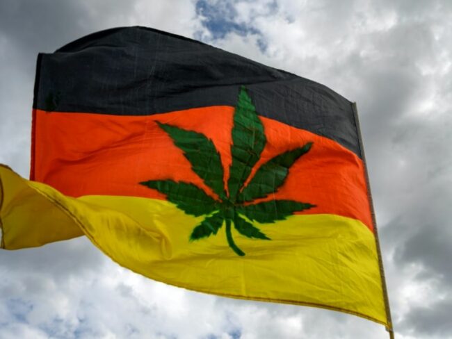 Légalisation du cannabis en Allemagne