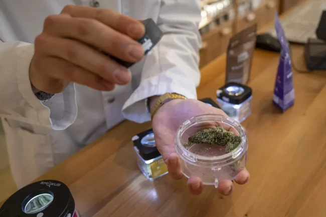 cannabis - Suisse - Zurich