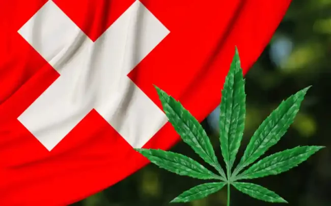ZüriCan - Suisse - cannabis- étude