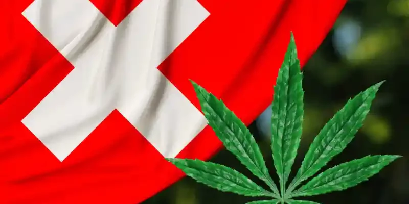 ZüriCan - Suisse - cannabis- étude