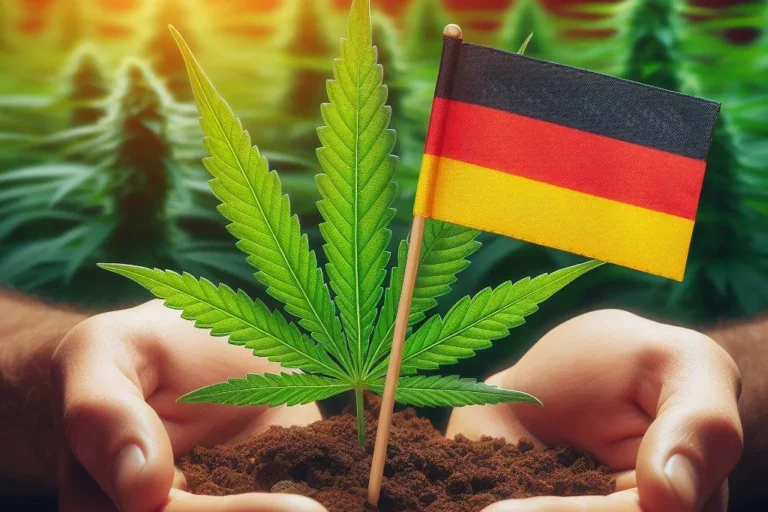 Allemagne - légalisation - cannabis - 2024