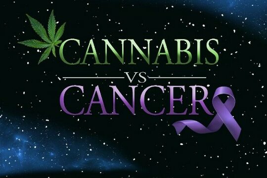 Cannabis vs cancer