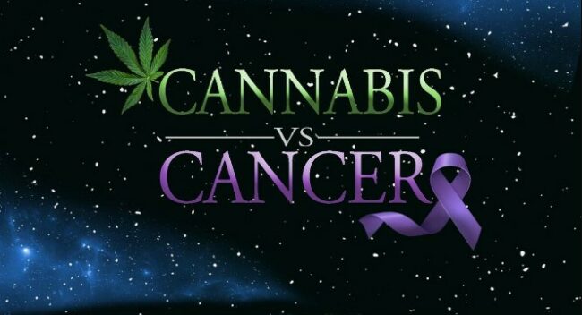Cannabis vs cancer