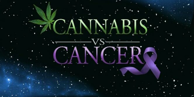 cannabis contre le cancer Cannabis vs cancer