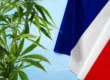 légalisation du cannabis en France