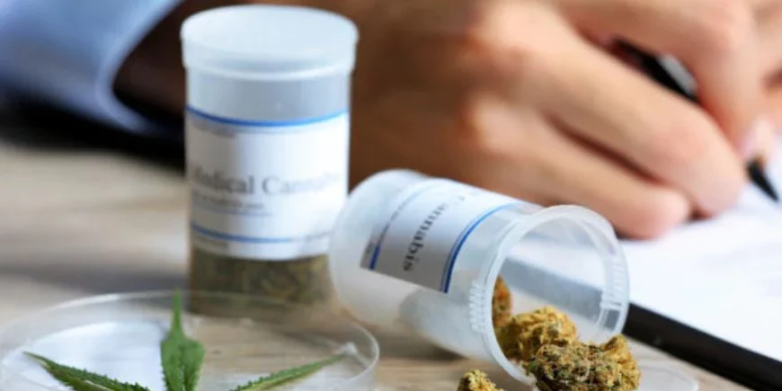 Cannabis médical