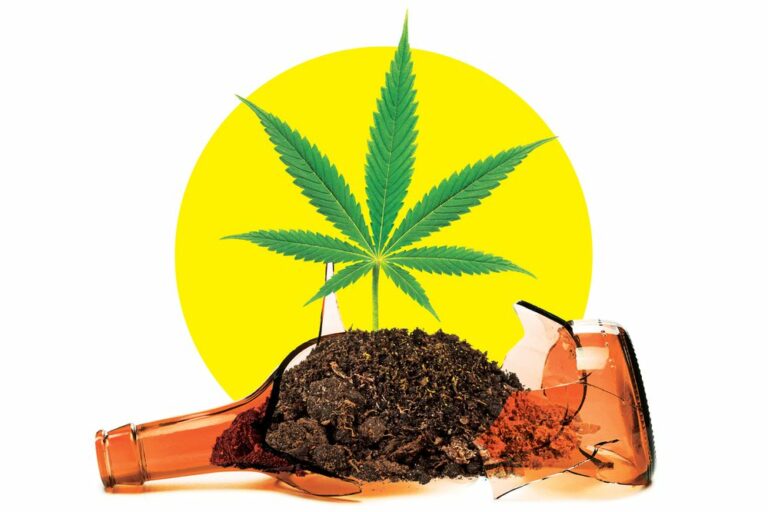 Génération Z - Cannabis vs Alcool