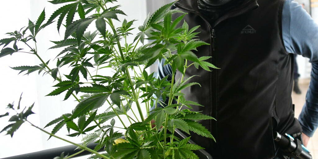 Opérations Place nette XXL