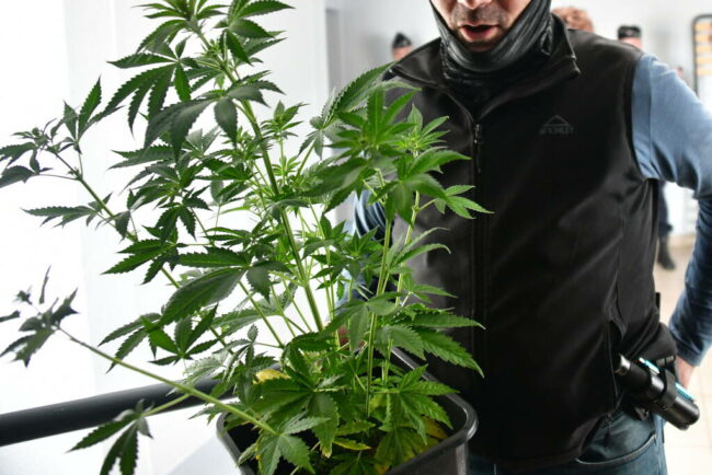 Opérations Place nette XXL