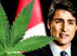 Trudeau cannabis Canada